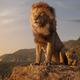 Image for article titled The dead-eyed new Lion King painfully illustrates the difference between cinema and video games